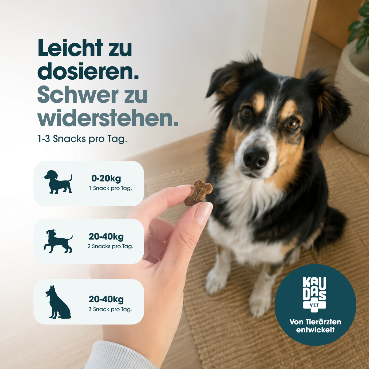 KauDas Vet "Move Easy" – Gelenk-Snack mit UC-II®