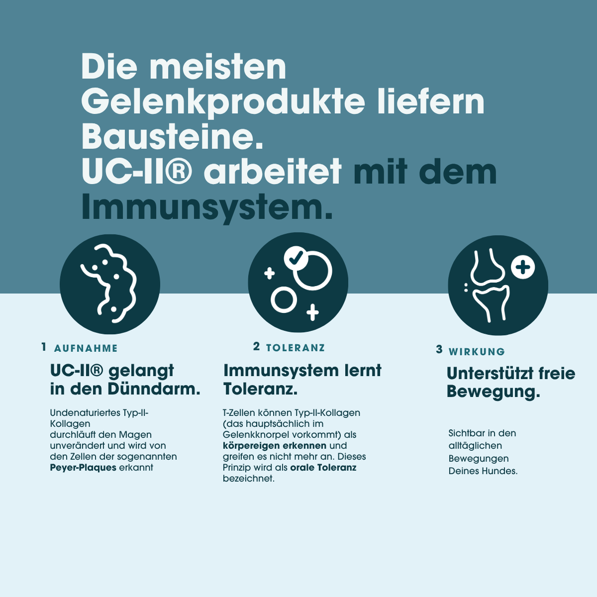 KauDas Vet "Move Easy" – Gelenk-Snack mit UC-II®
