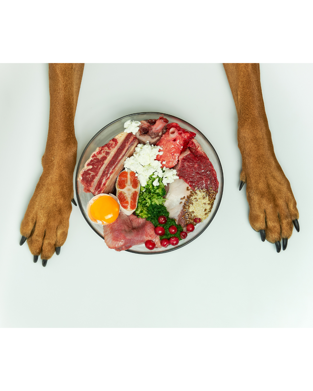 ChewThe fresh raw meat