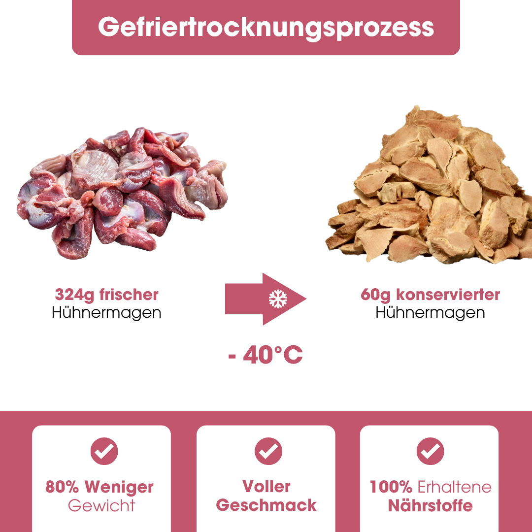 Chicken gizzard pure natural snack (60g = 324g fresh)