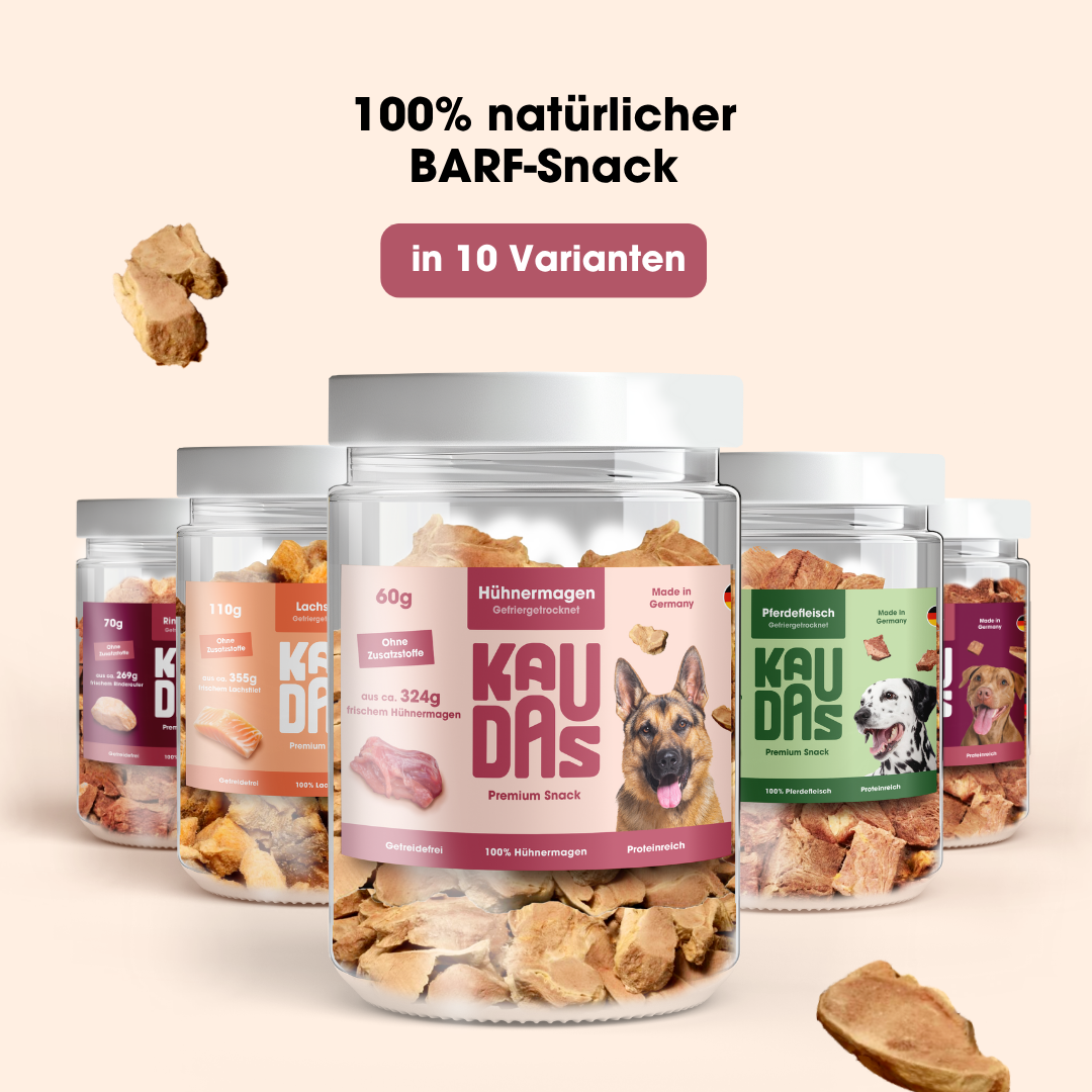 Chicken gizzard pure natural snack (60g = 324g fresh)