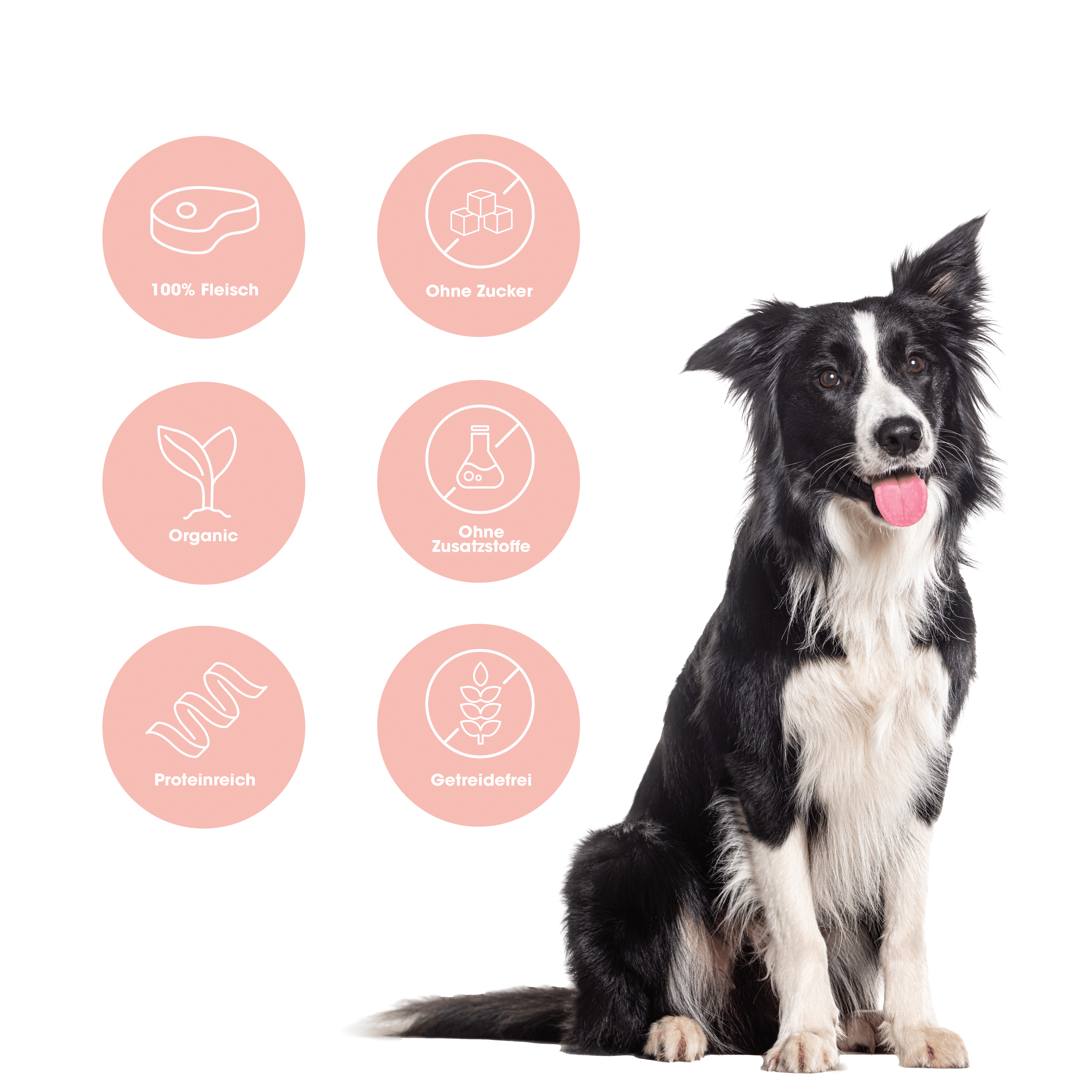 KauDas "Reward" Multipack (freeze-dried)