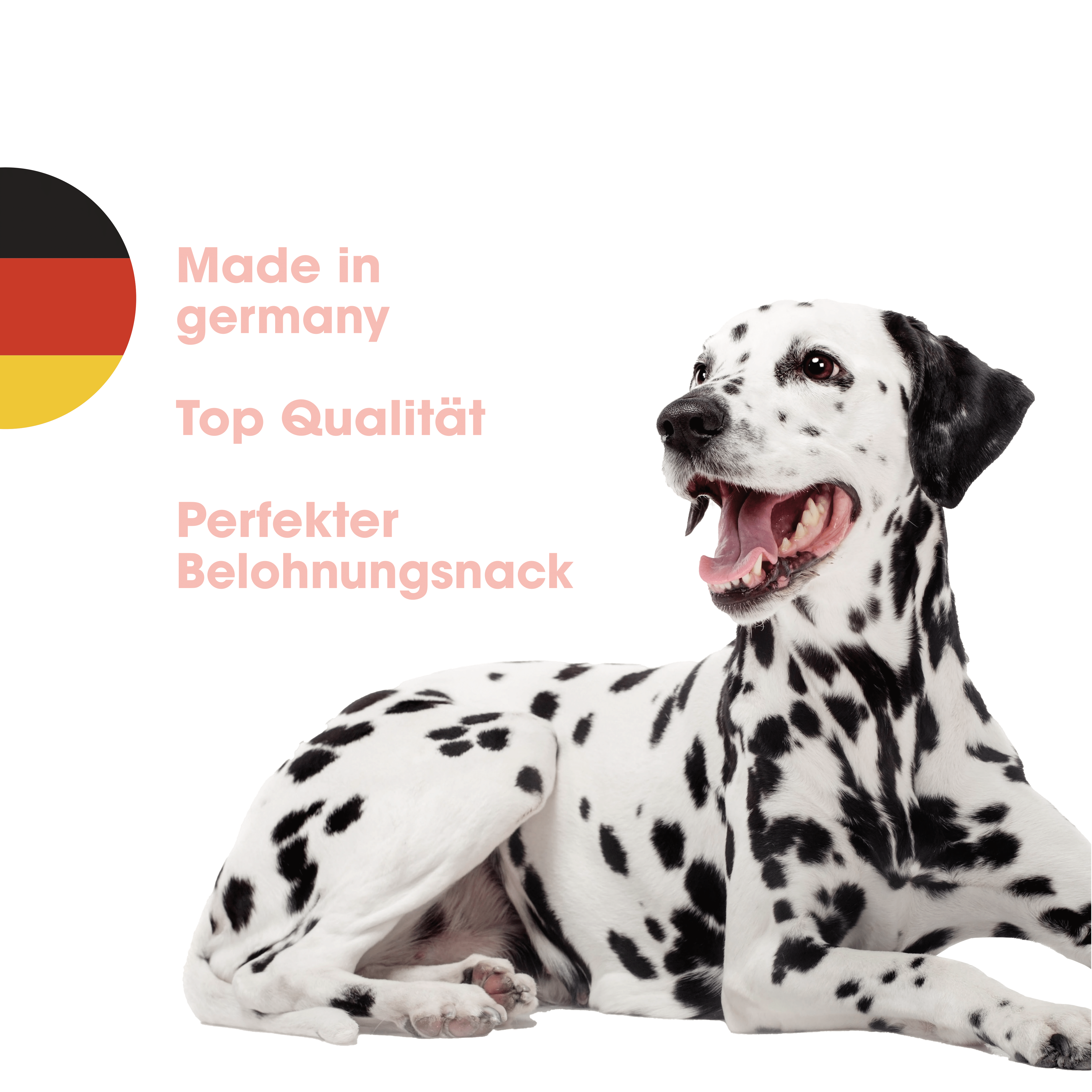 KauDas "Reward" Multipack (freeze-dried)