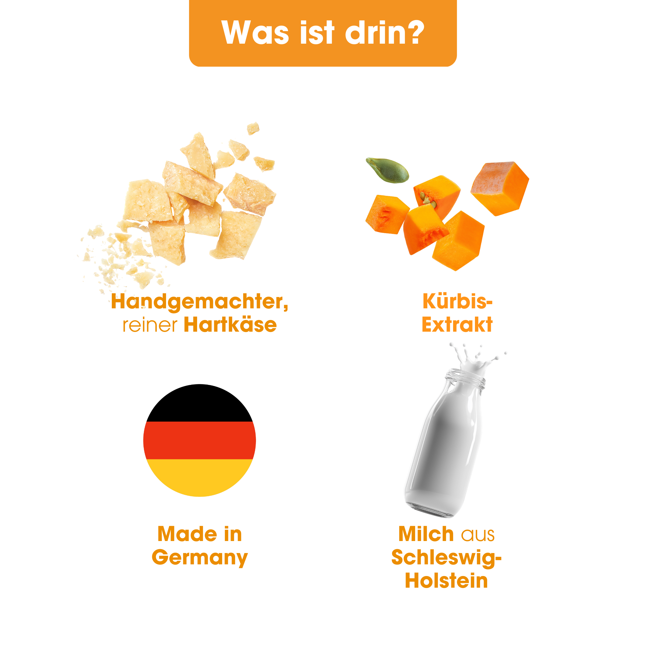 ChewChew Cheese Pumpkin