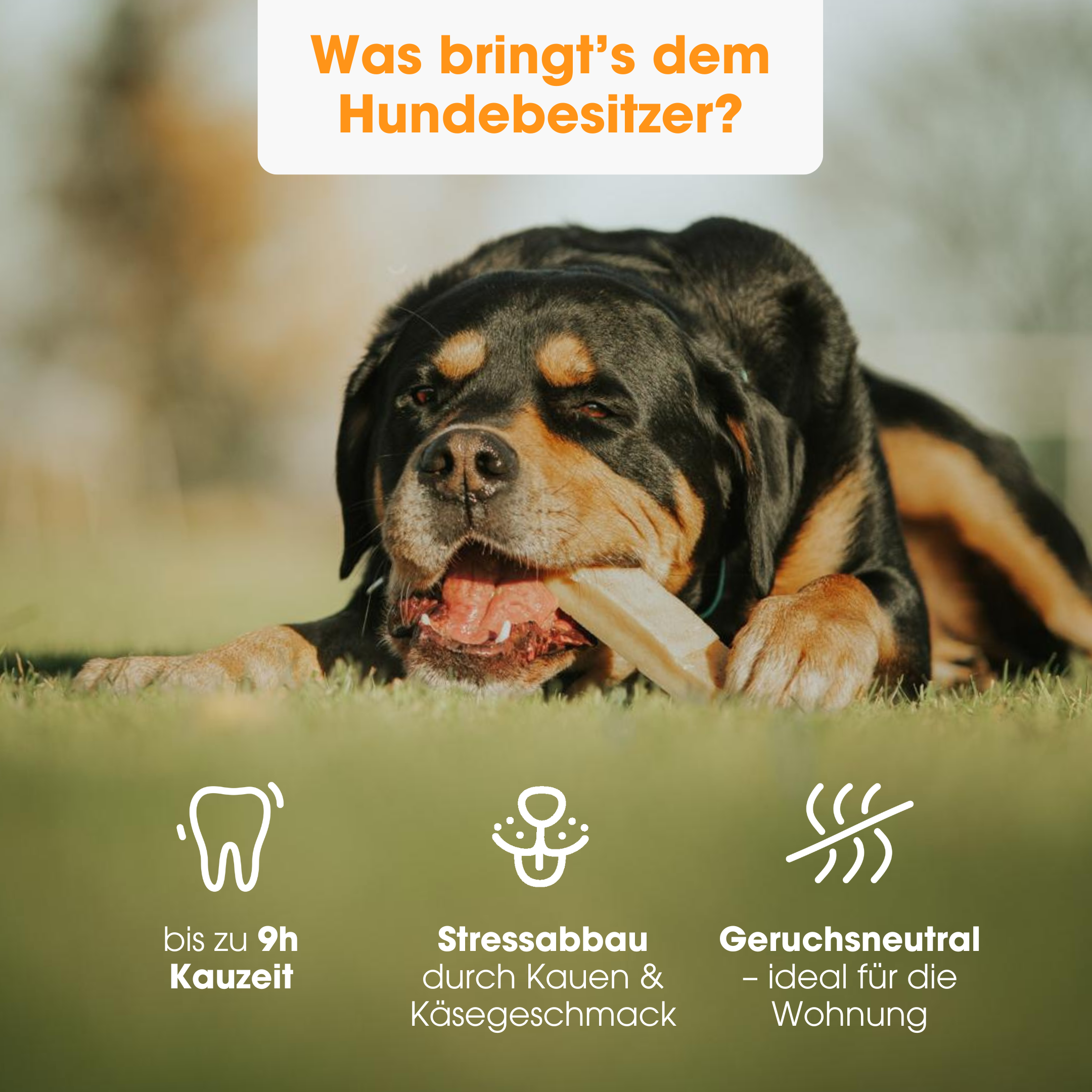 KauDas Chewy Cheese Original