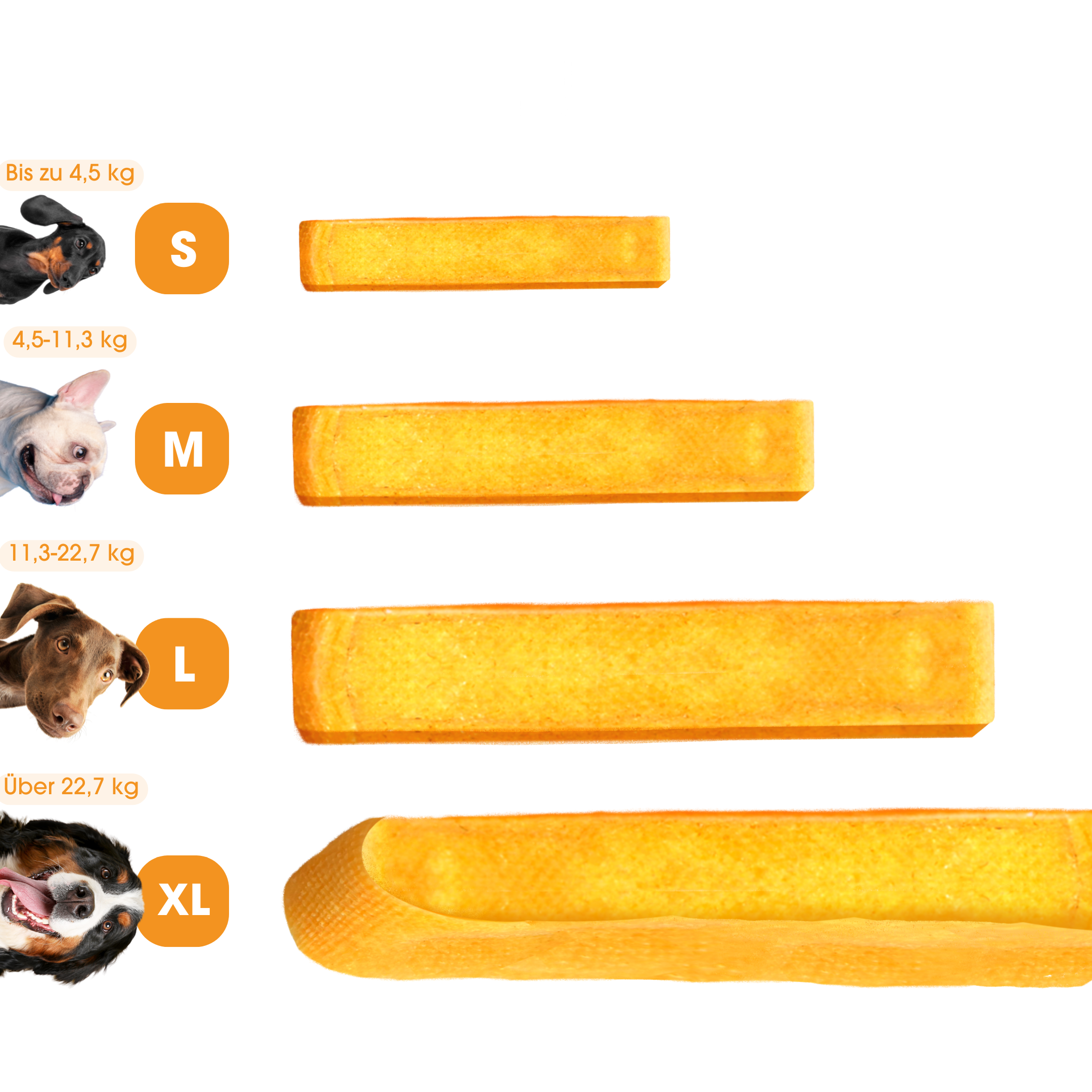 KauDas chewing cheese turmeric - for dogs