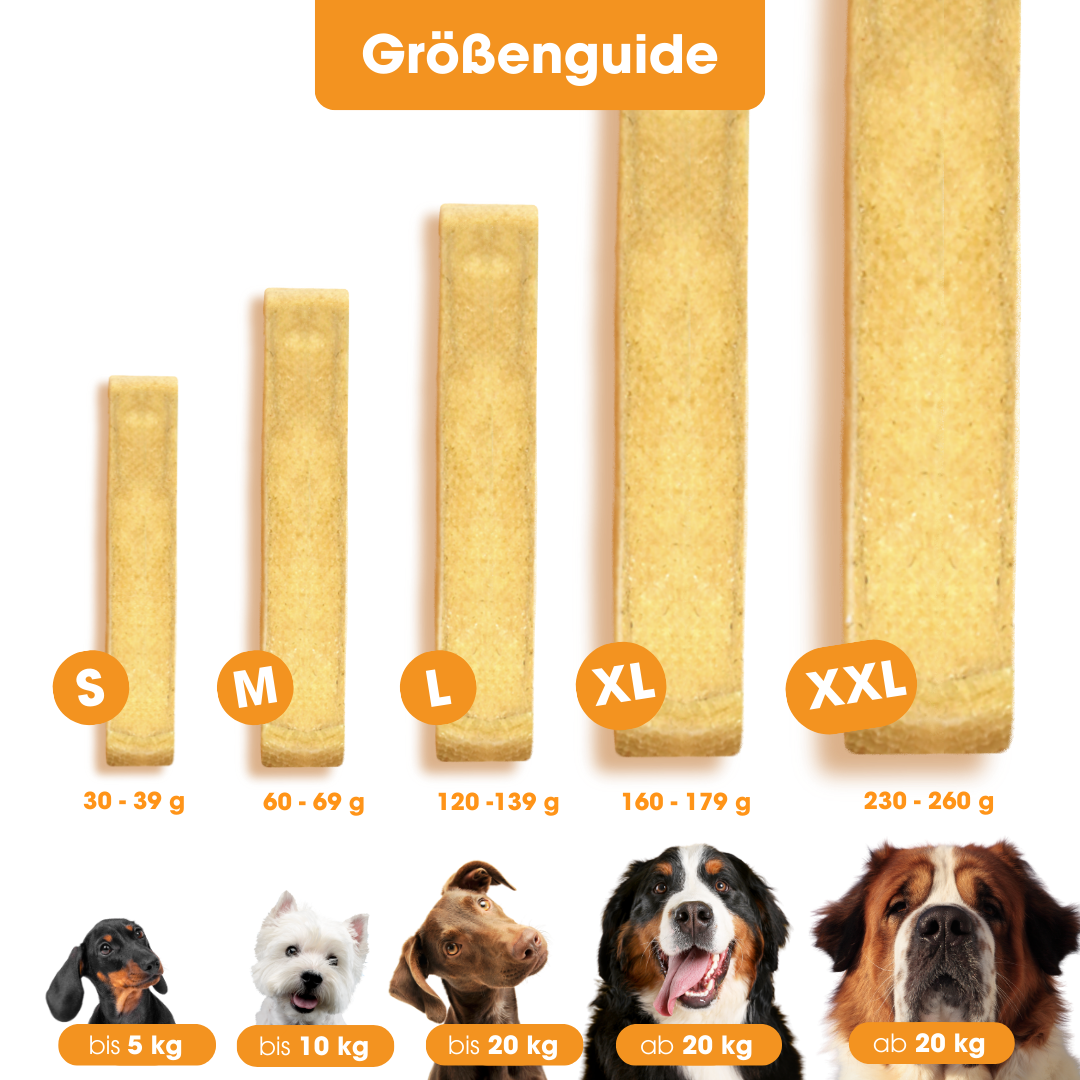 KauDas Starter Pack: Sample Box