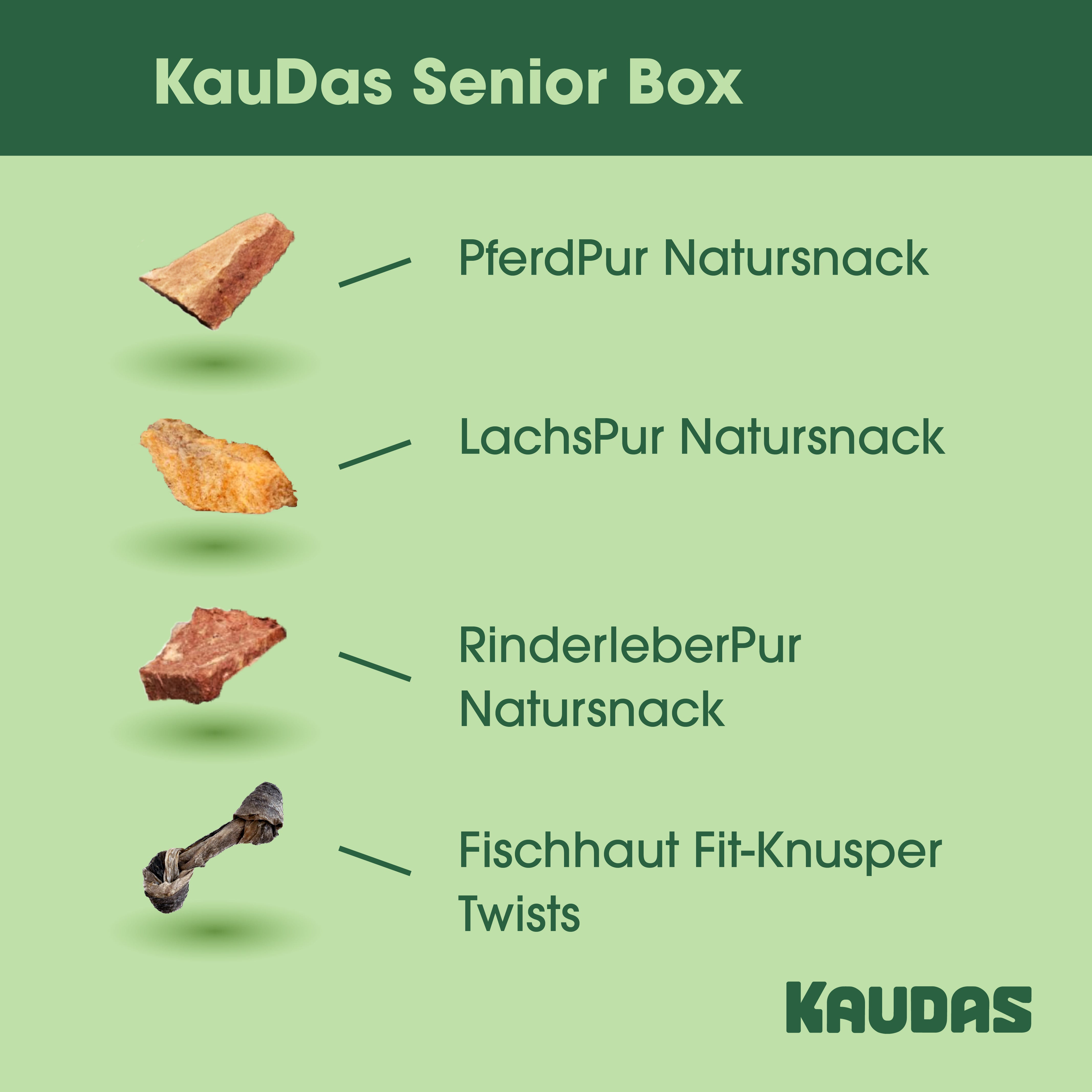 KauDas Senior Box