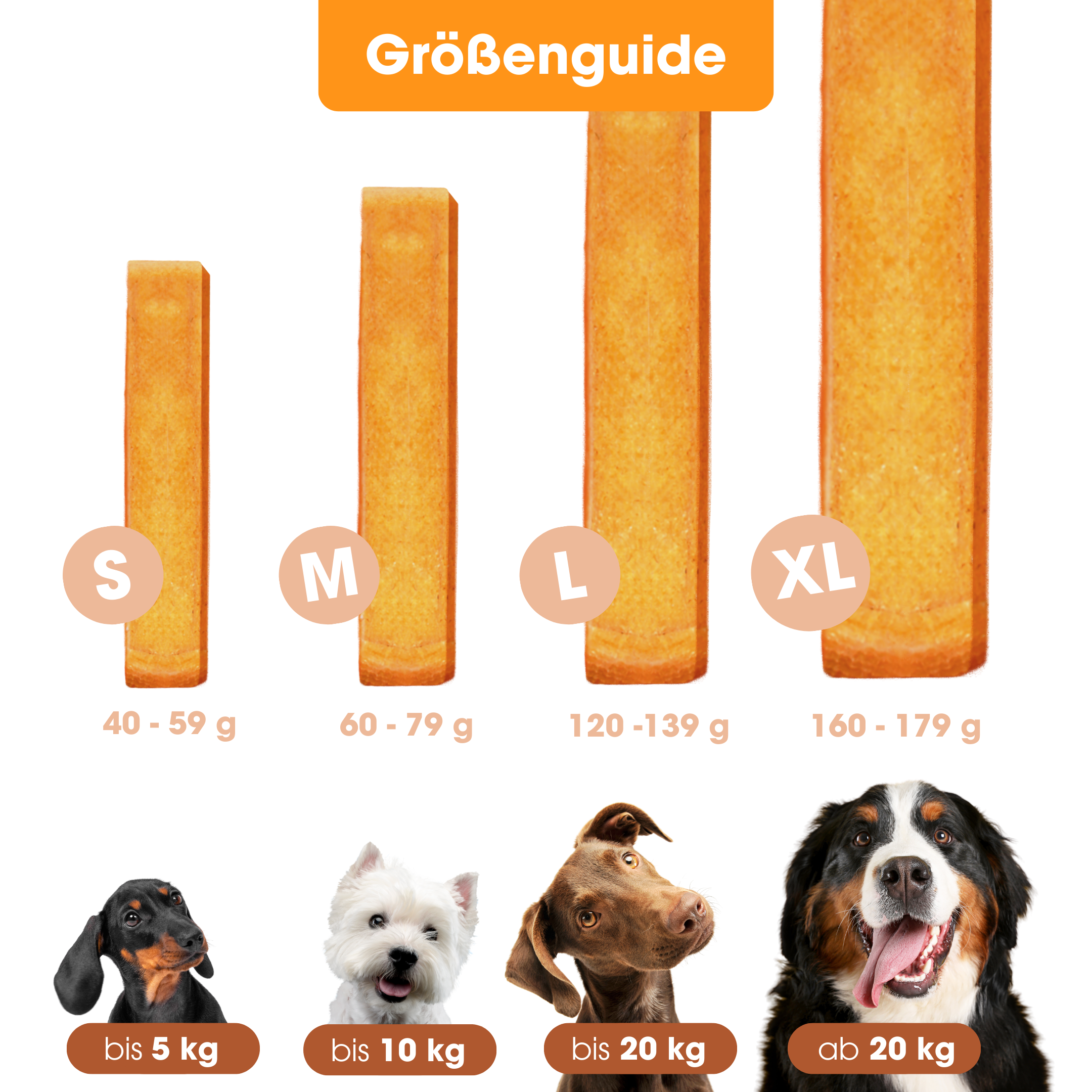 ChewChew Cheese Pumpkin