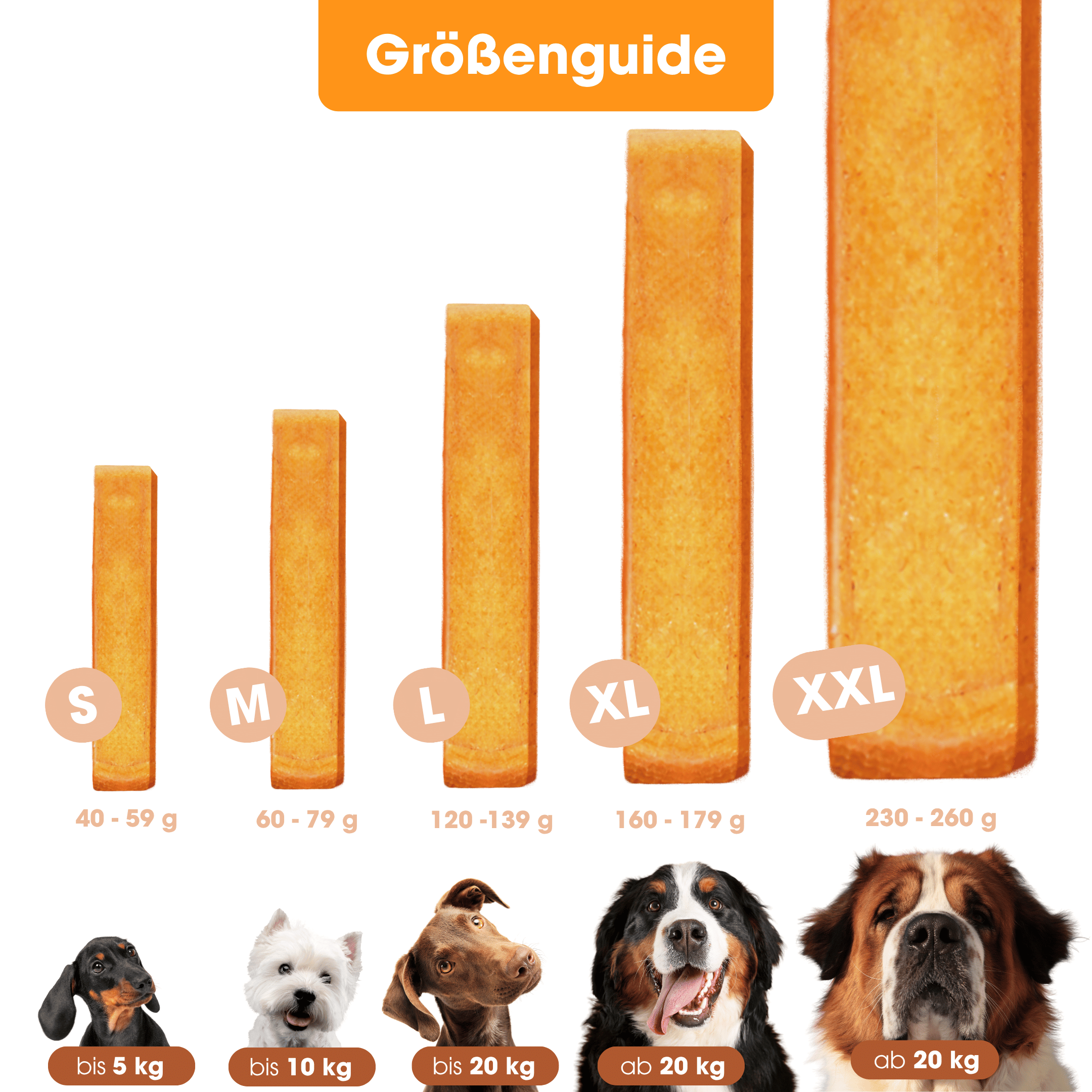 ChewChew Cheese Pumpkin