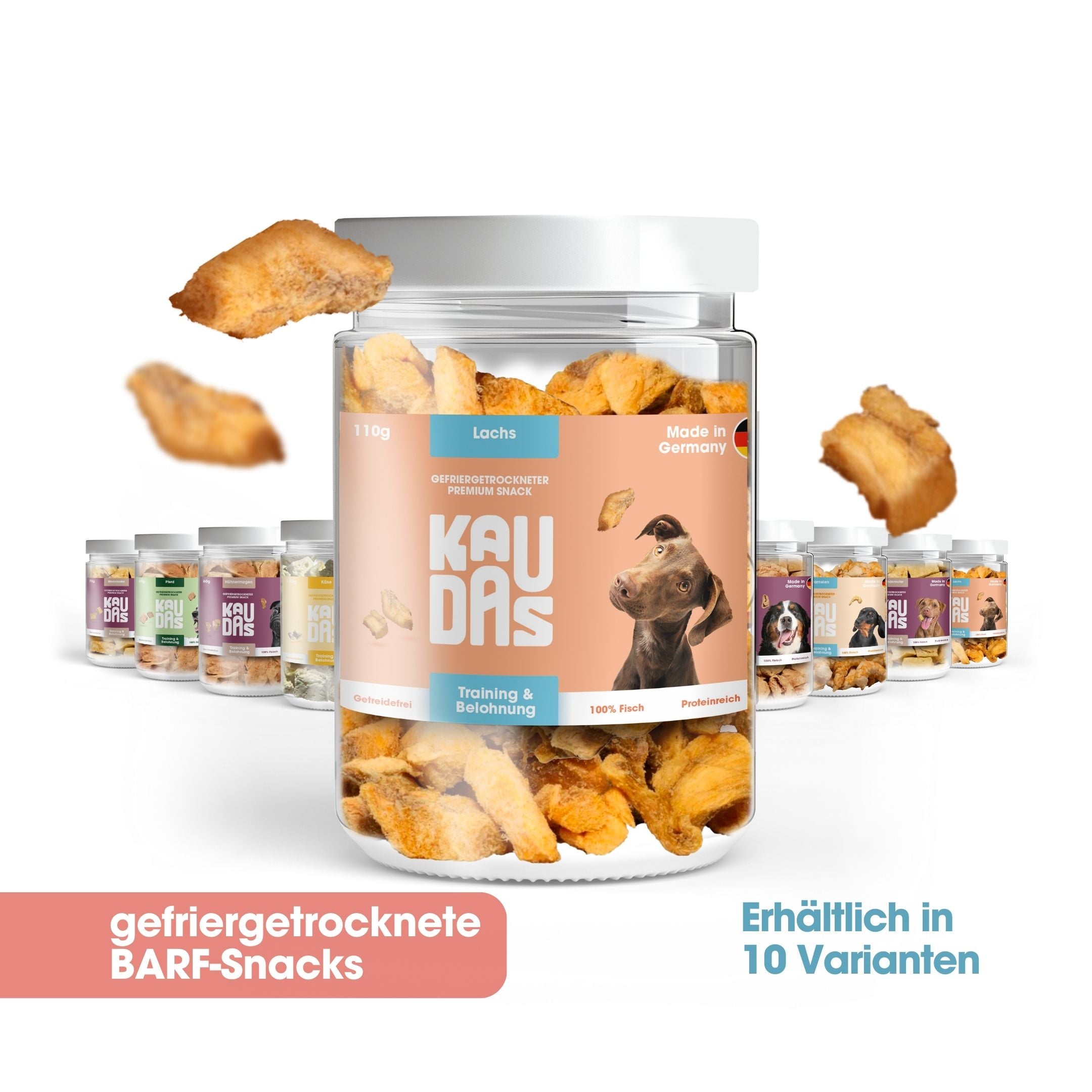 SalmonPur natural snack (110g = 355g fresh)