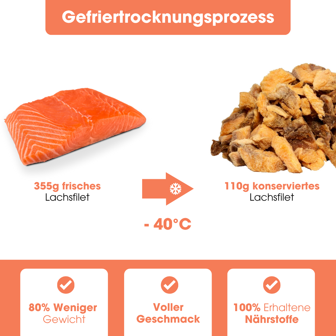 SalmonPur natural snack (110g = 355g fresh)
