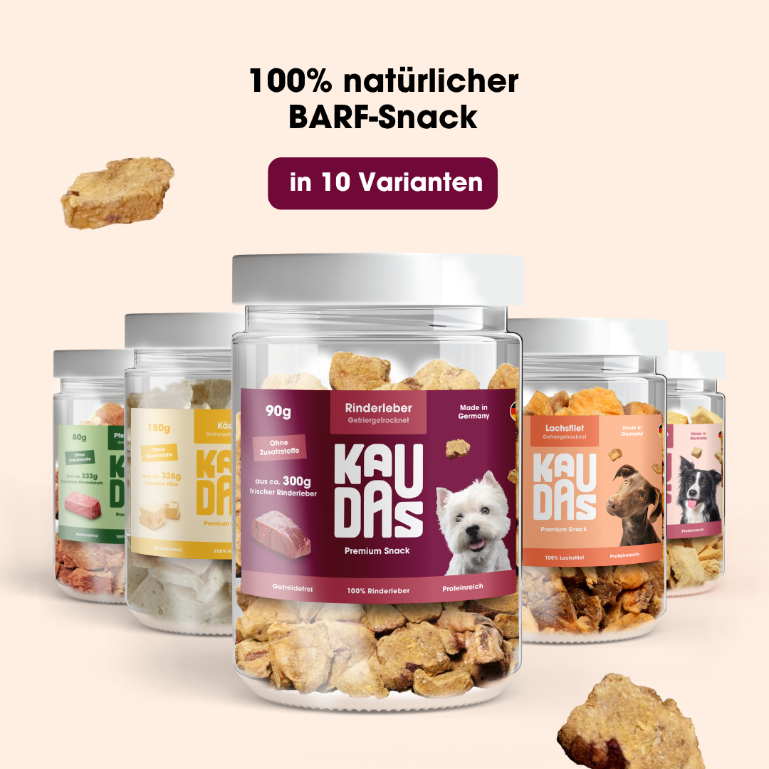 Beef liver pure natural snack (90g = 300g fresh)