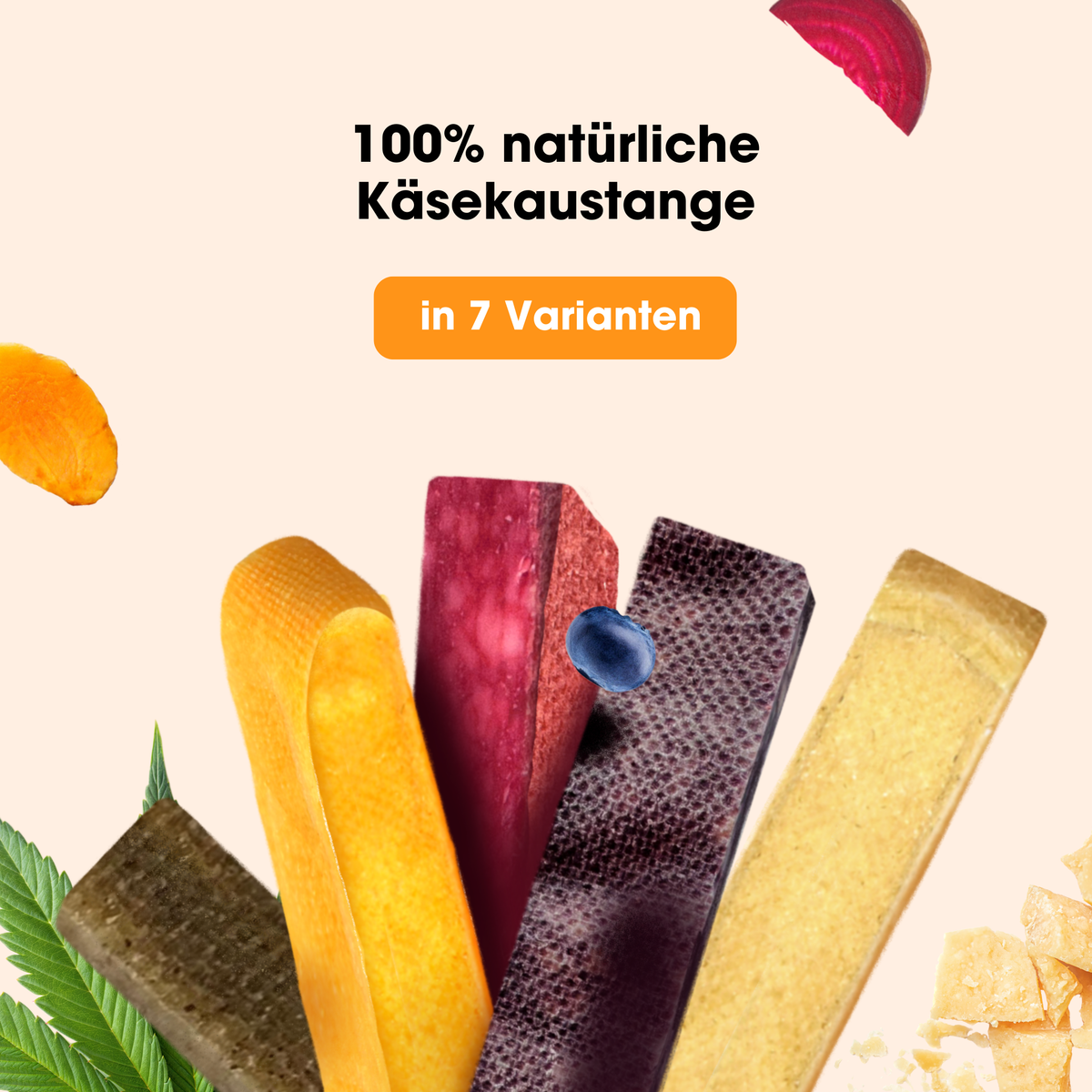 KauDas Kaukäse Kürbis – alle Varianten und Größen