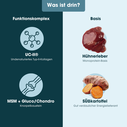 KauDas Vet "Move Easy" – Gelenk-Snack mit UC-II®