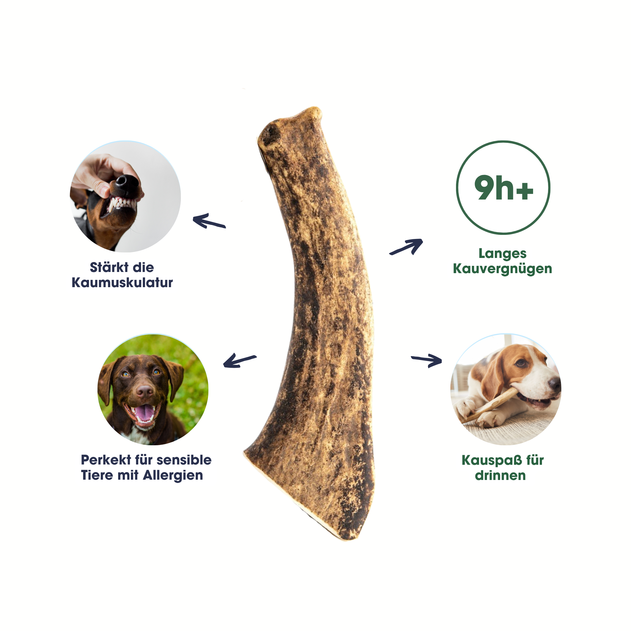 Red deer antler chew stick "Wildkraft"