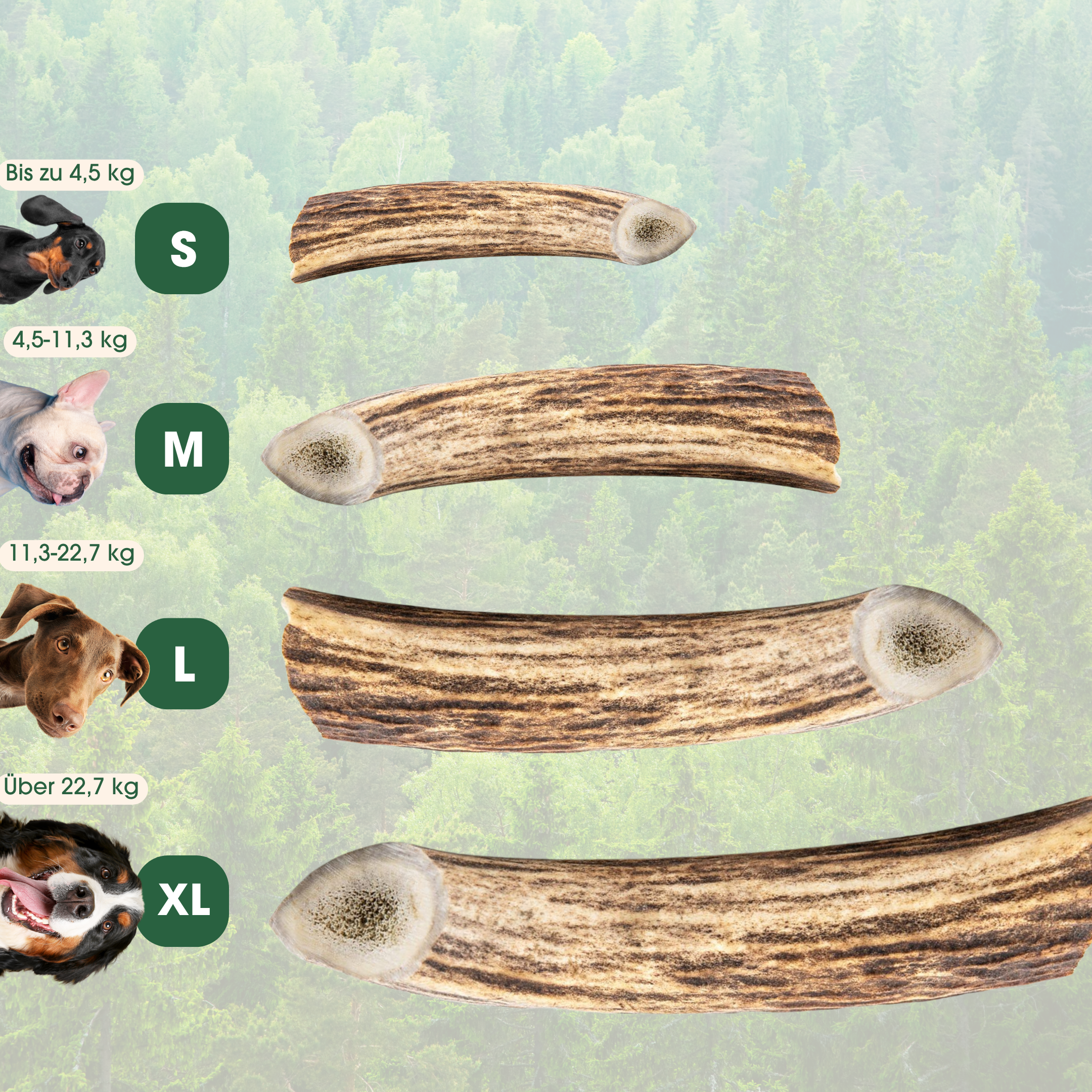 Red deer antler chew stick "Wildkraft"