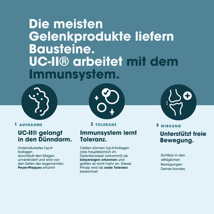 KauDas Vet "Move Easy" – Gelenk-Snack mit UC-II®