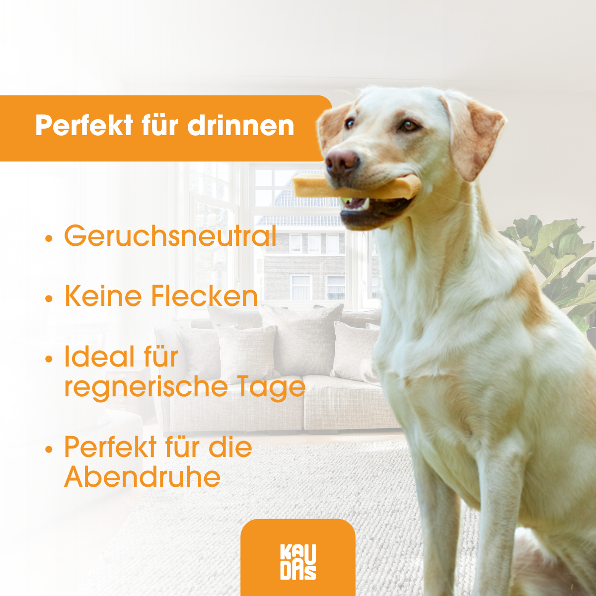 KAUDAS KAUKÄSE BUNDLE