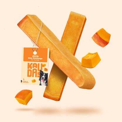 ChewChew Cheese Pumpkin