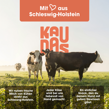 KAUDAS Käse Pops – mit Liebe aus Schleswig-Holstein, Milch von regionalen Kühen