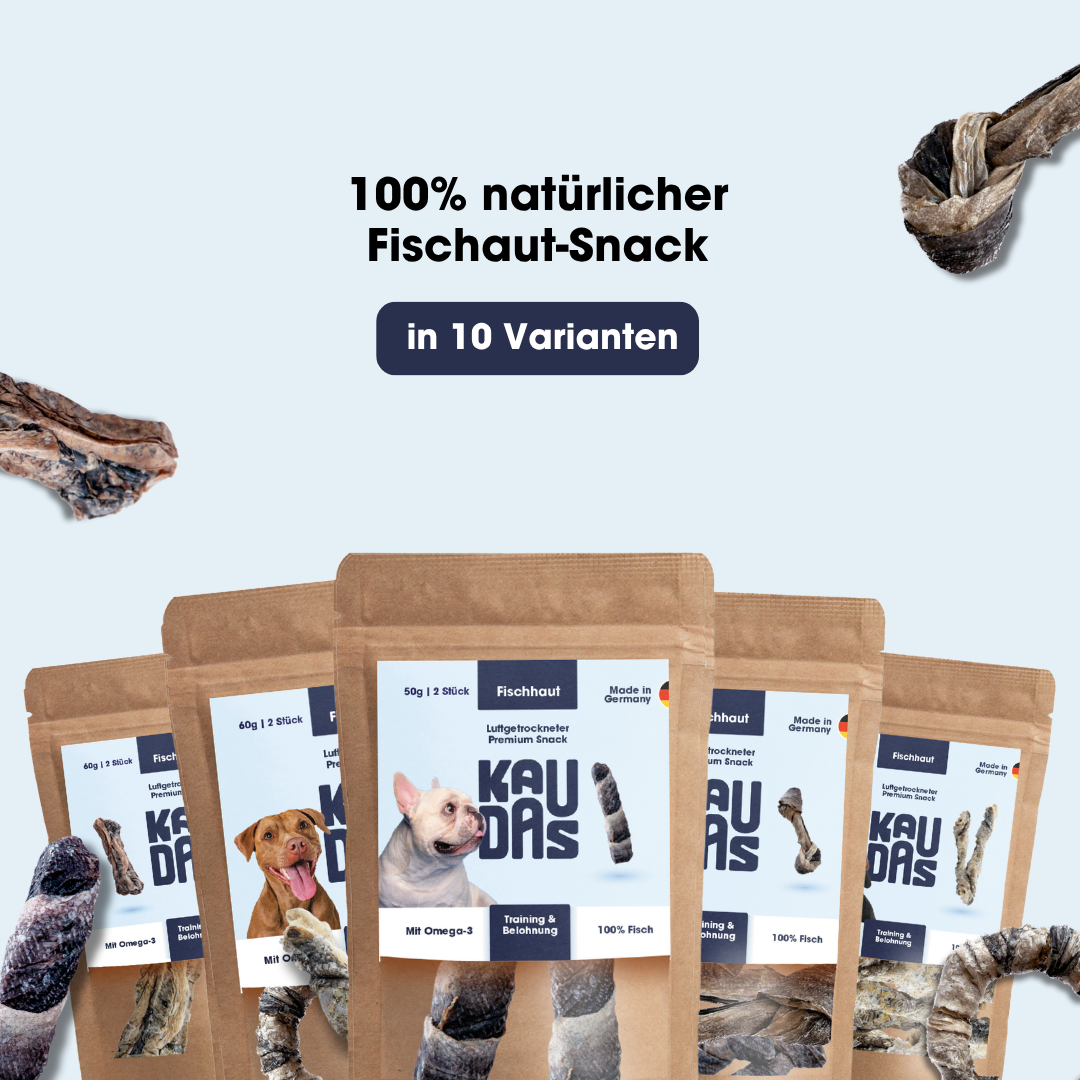 Fischhaut Fit-Knusper Stangen (60g)