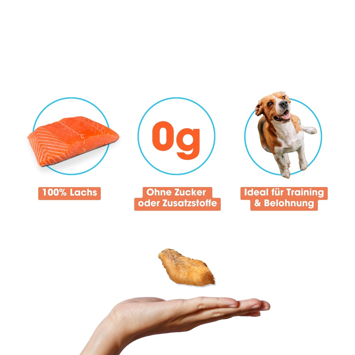 Pure Salmon Fillet Freeze-Dried  (110g)