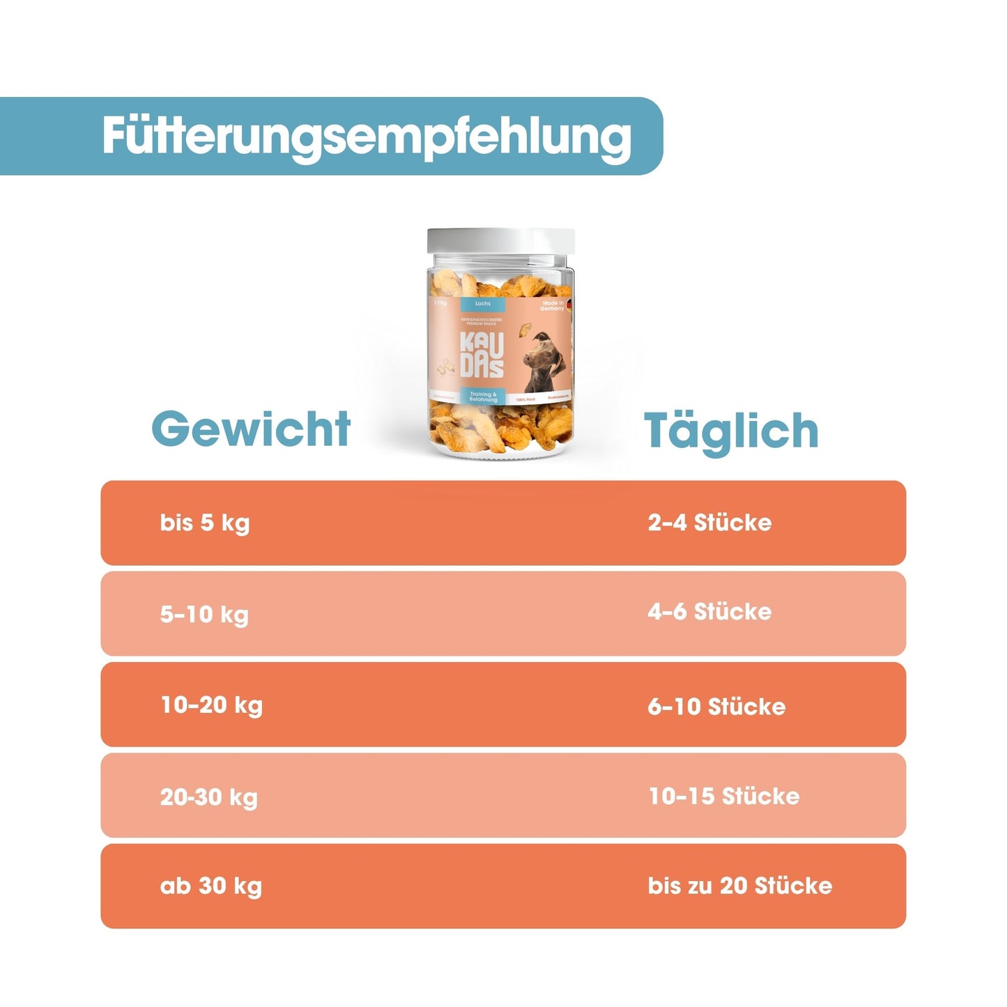 Pure Salmon Fillet Freeze-Dried  (110g)