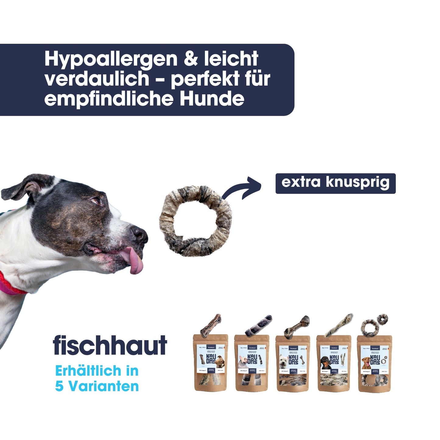 Fischhaut Fit-Knusper Donuts (60g)