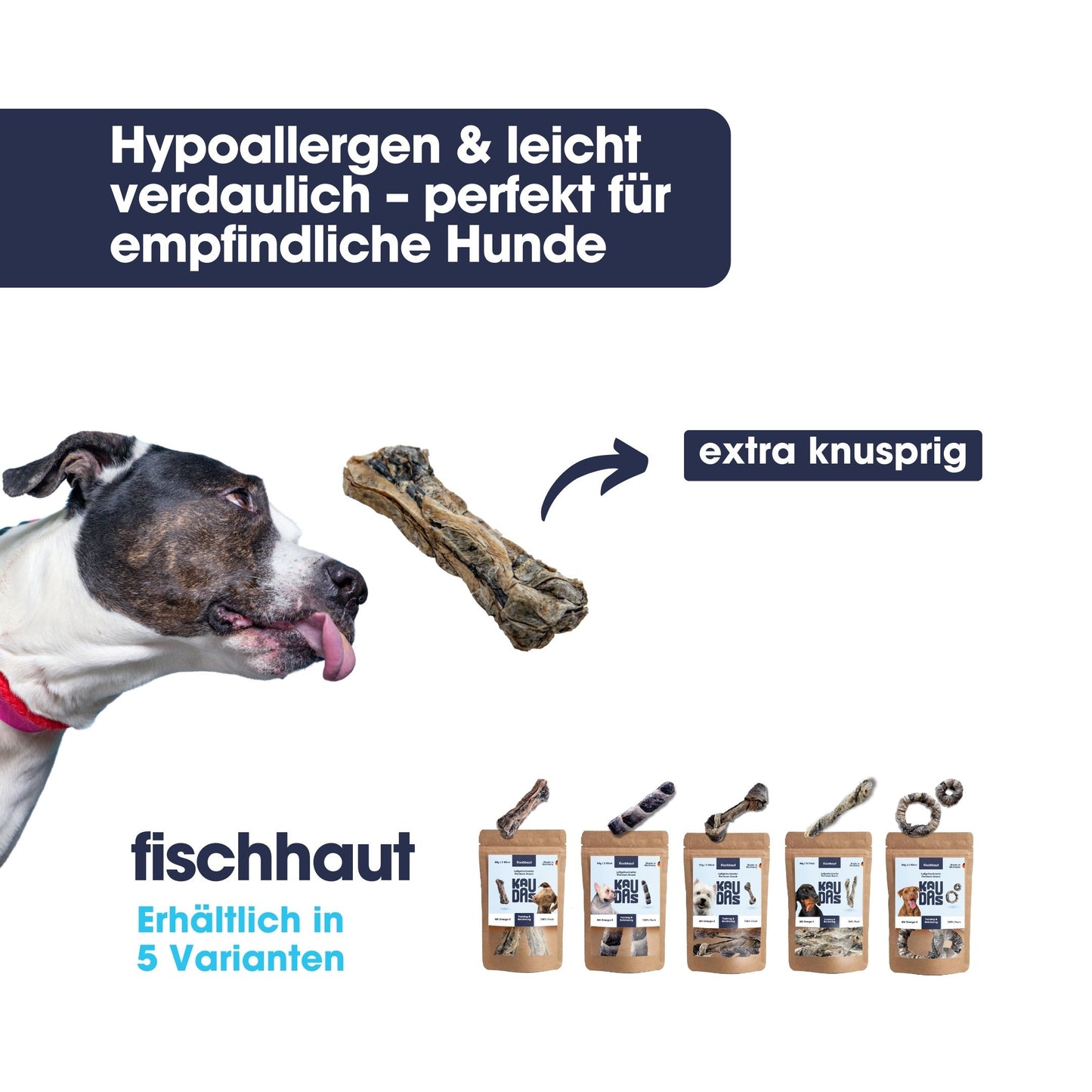 Fischhaut Fit-Knusper Knochen (60g)