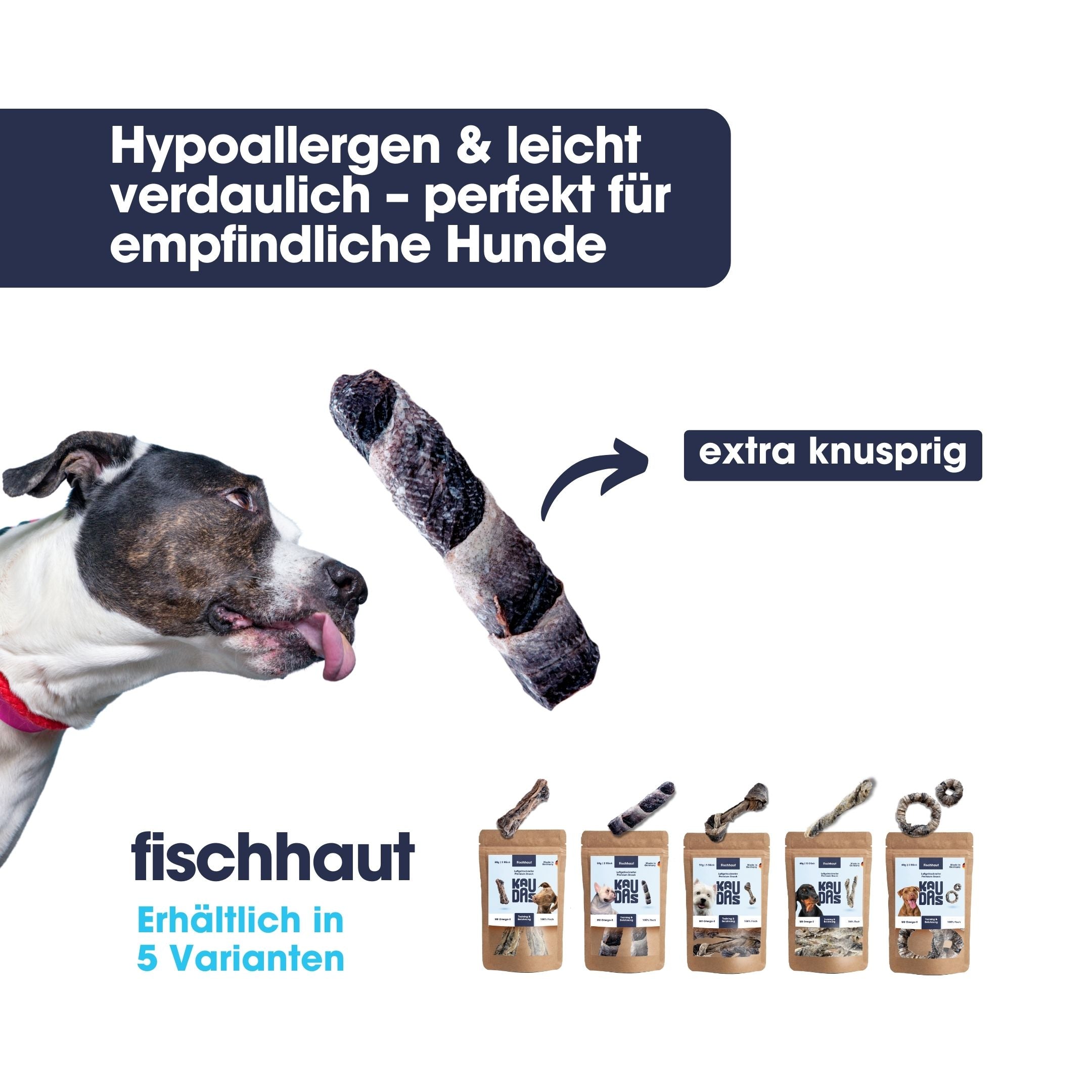 Fischhaut Fit-Knusper Riegel (50g)
