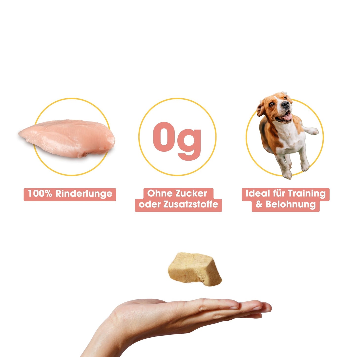 HuhnPur Natursnack (80g)