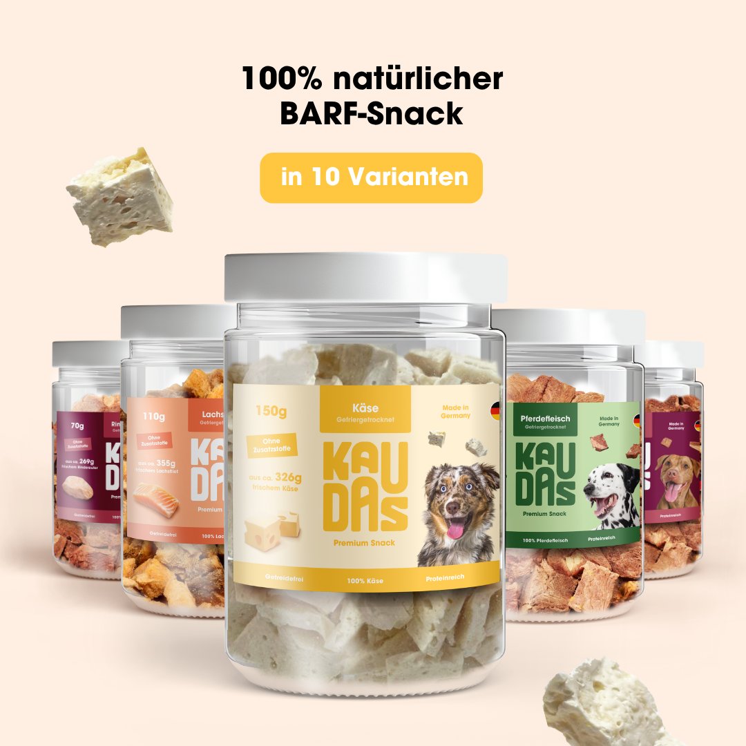 KäsePur natural snack (150g = 326g fresh)