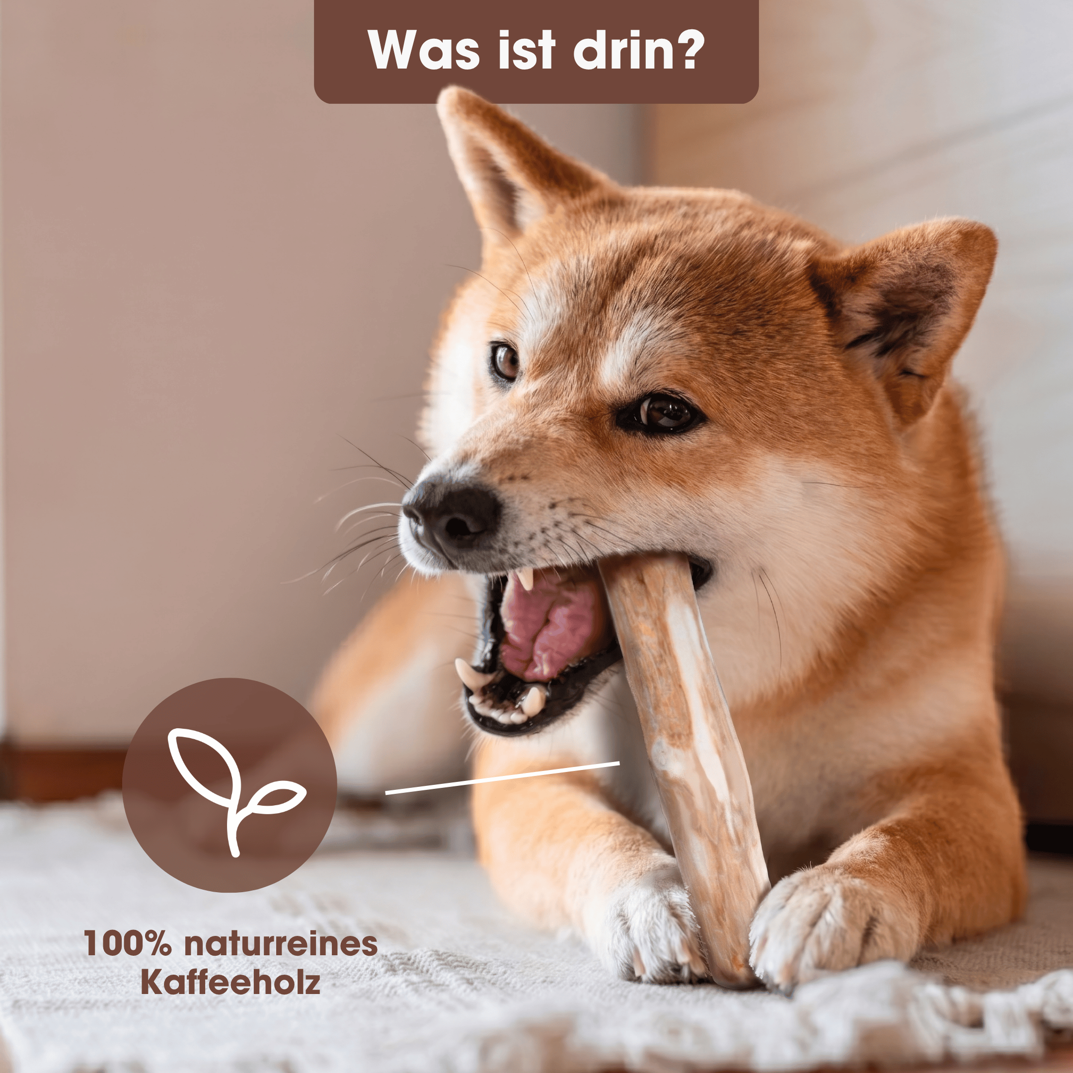 Knabber Kaustange Kaffeeholz