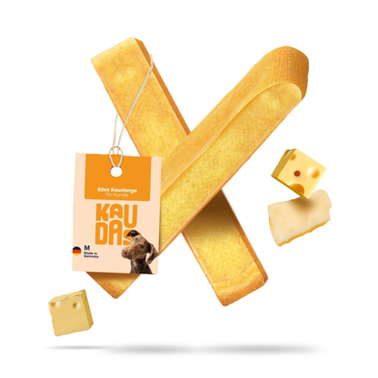 KauDas cheese stick - vegetarian dog snack made from 100 % hard cheese, rich in protein, for long-lasting chewing fun and natural dental care, made in Schleswig-Holstein
