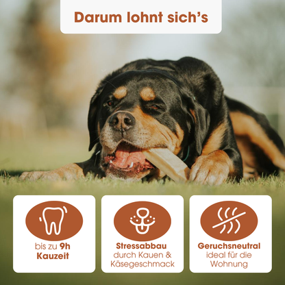 KauDas Käsestange "Kurkuma" Multipack