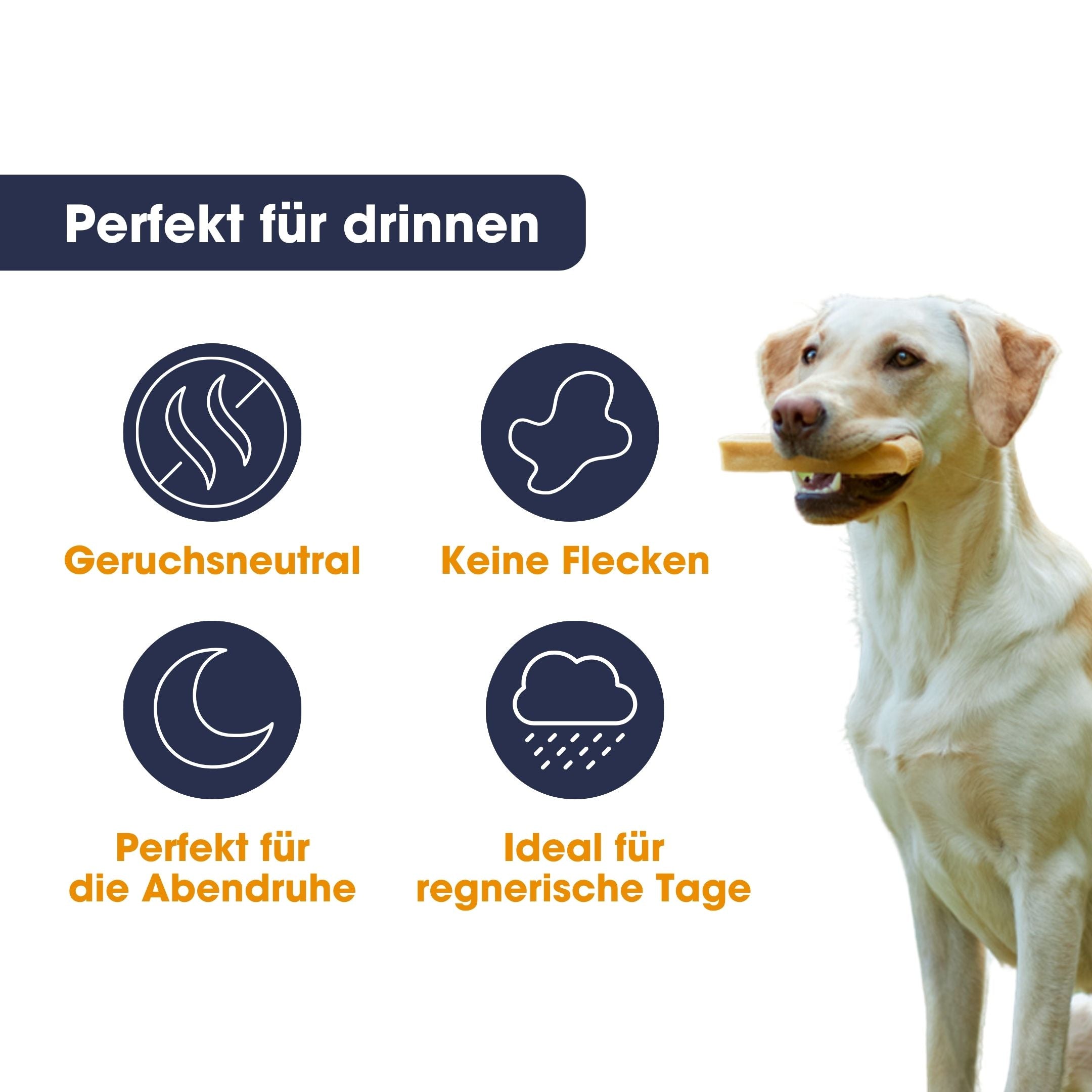 Knabber Kaustange Käse