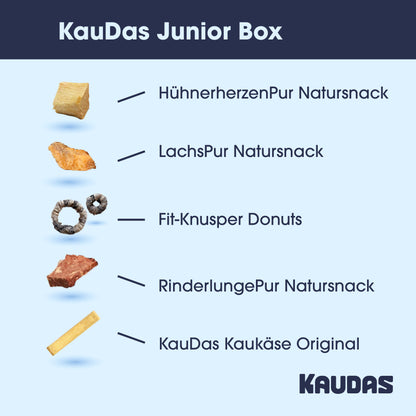 KauDas Junior Box
