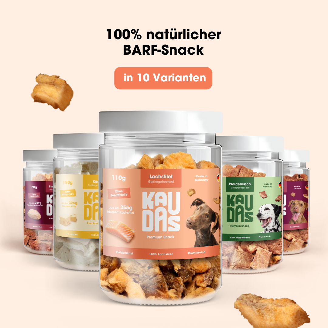 SalmonPur natural snack (110g = 355g fresh)