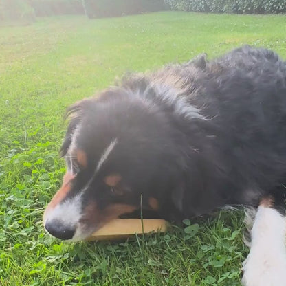 Fromage Yak Naturel pour Chiens